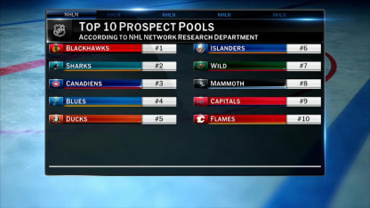 NHL Tonight Top 25 Prospects: Top 10 Prospect Pools