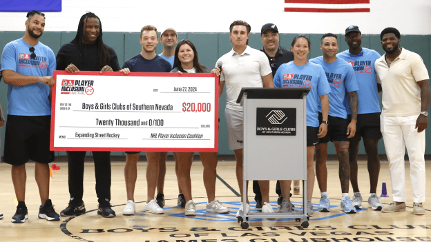 NHL - PIC resources module